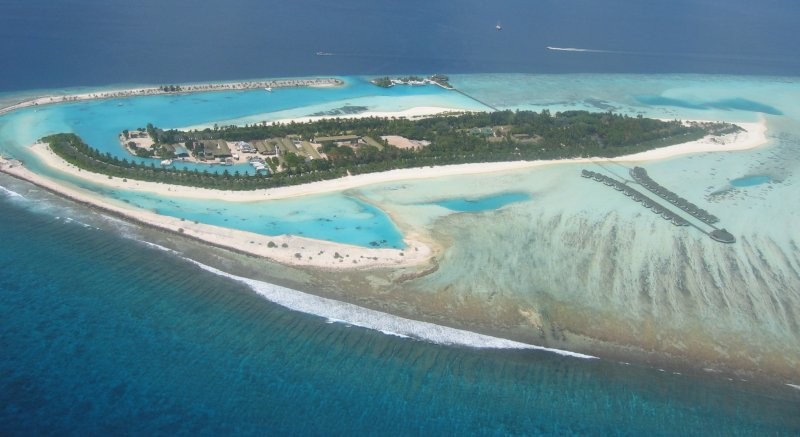 Click for the original image